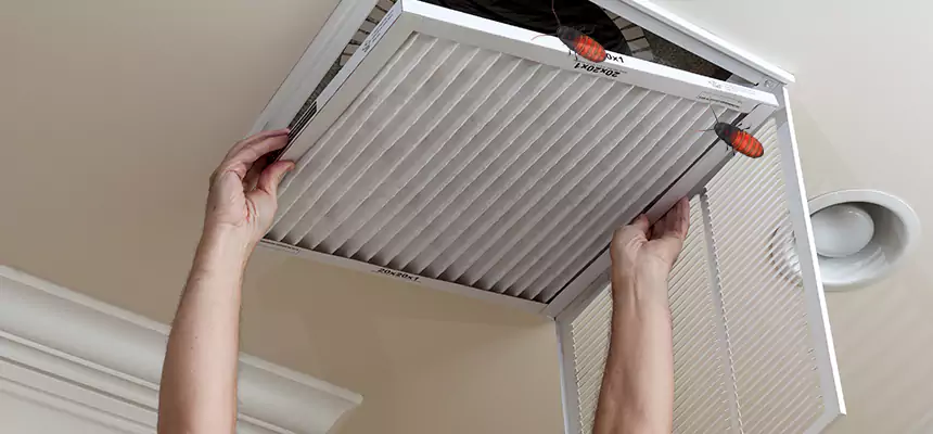 Preventive Cockroach-Proofing for Ducts in Catonsville