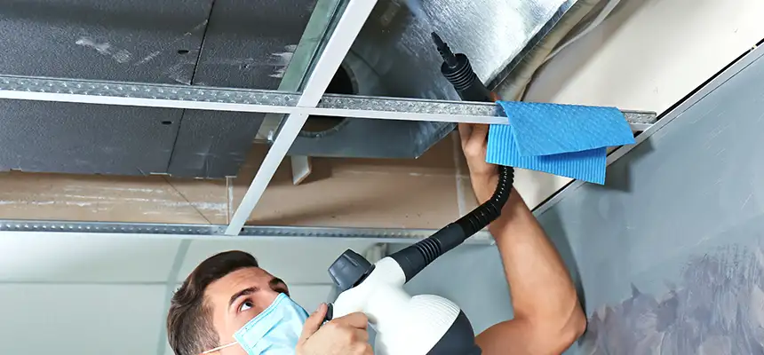 Our Air Duct Rodent Removal Services in Catonsville, MD