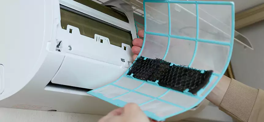 Gentle Ductwork Odor-Control Pet Dander Duct Cleaning in Catonsville, MD