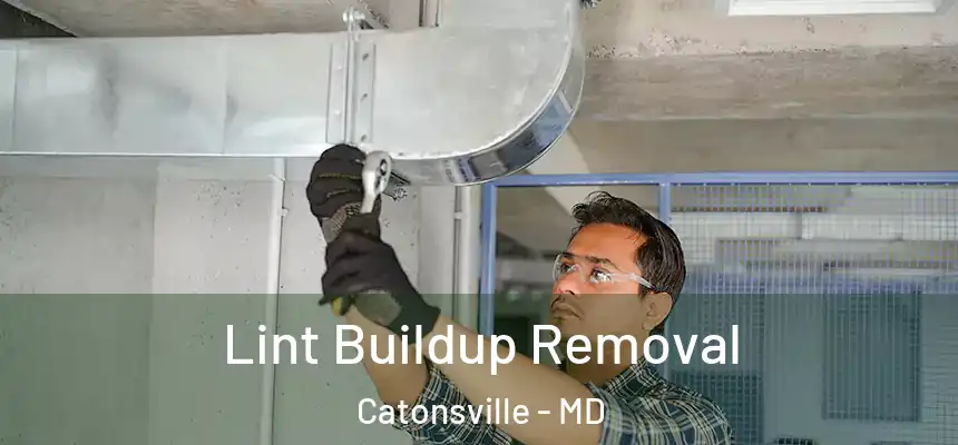  Lint Buildup Removal Catonsville - MD