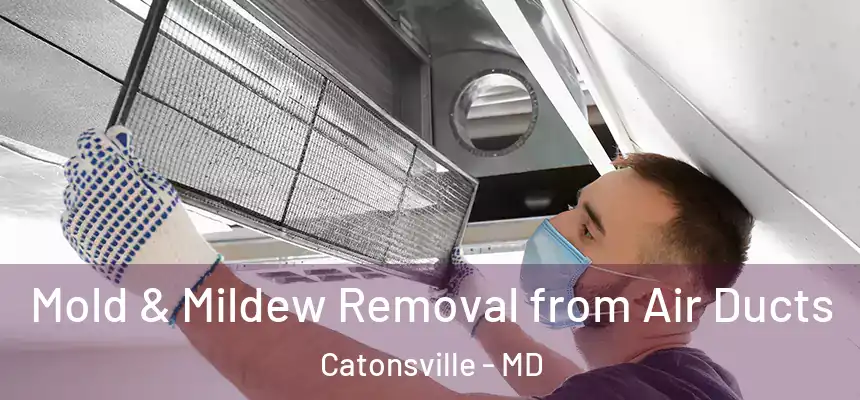  Mold & Mildew Removal from Air Ducts Catonsville - MD