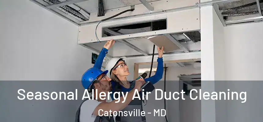  Seasonal Allergy Air Duct Cleaning Catonsville - MD
