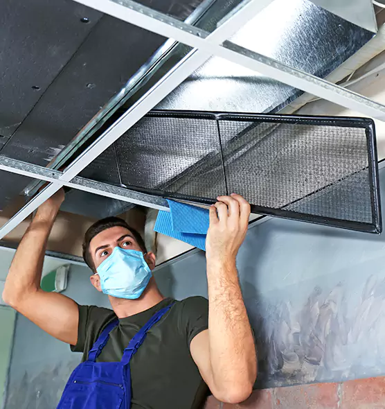 About Air Duct Bacteria Removal in Catonsville