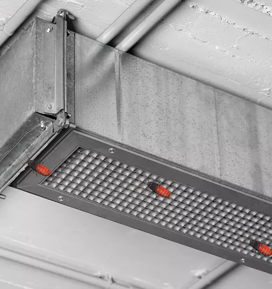 About Air Duct Cockroach Removal in Catonsville, MD