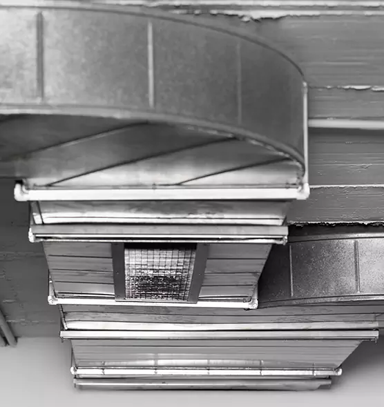 Professional Air Duct Pest Removal in Catonsville, MD