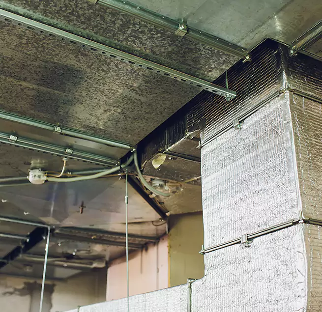 Why Homeowners & Businesses Trust Us in Catonsville, MD?