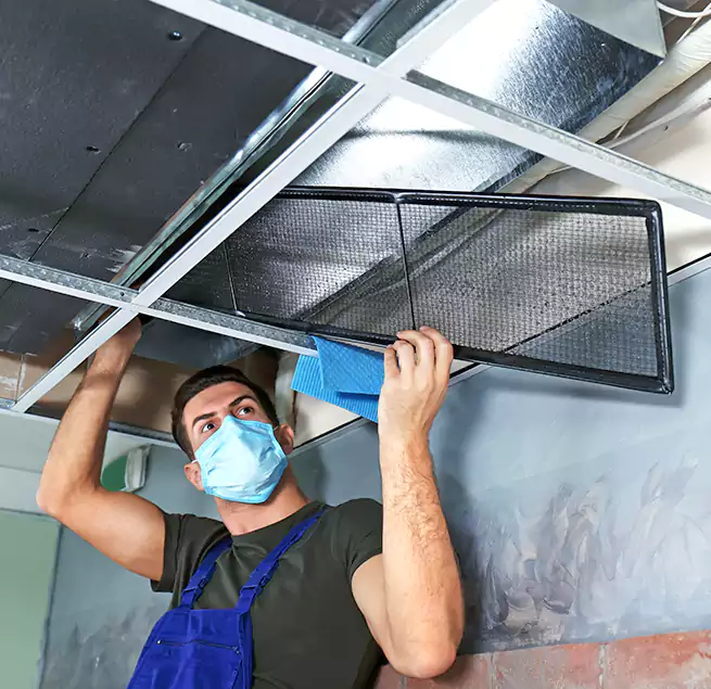 Why Homeowners Businesses Trust Us in Catonsville, MD